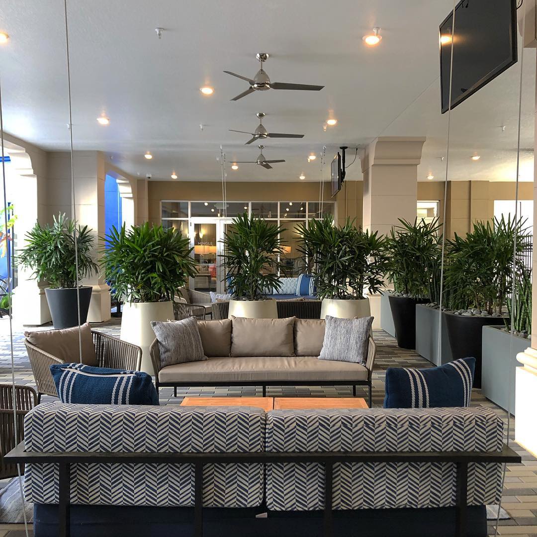 Maitland City Centre